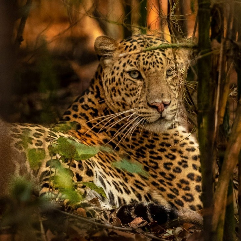 Madhya Pradesh Tourism on Twitter: Madhya Pradesh Tourism on Twitter: