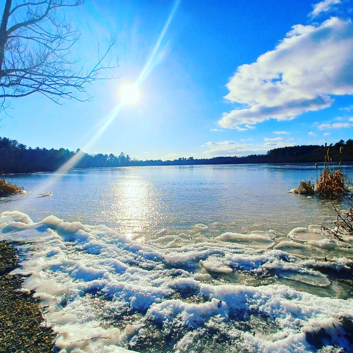 CFamiliosi's tweet photo. Was A Beautiful Christmas A.M, cold &amp; all. #HappyHolidays https://t.co/JQhy9OCQ7D