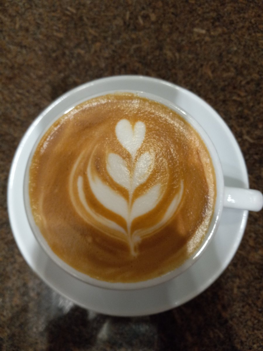 LisandraStgo's tweet photo. Buenos Días Twitter! ☀️ https://t.co/h84wRrMfk1
