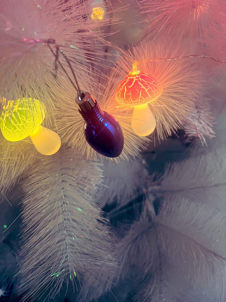 siberiaexpress's tweet photo. Ofisteki noel ağacına anal plug takmışlar #xmas https://t.co/oM306XUz4r