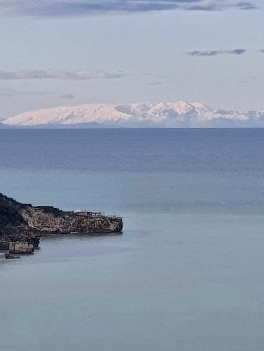 MichelangeloBorrillo tweet media