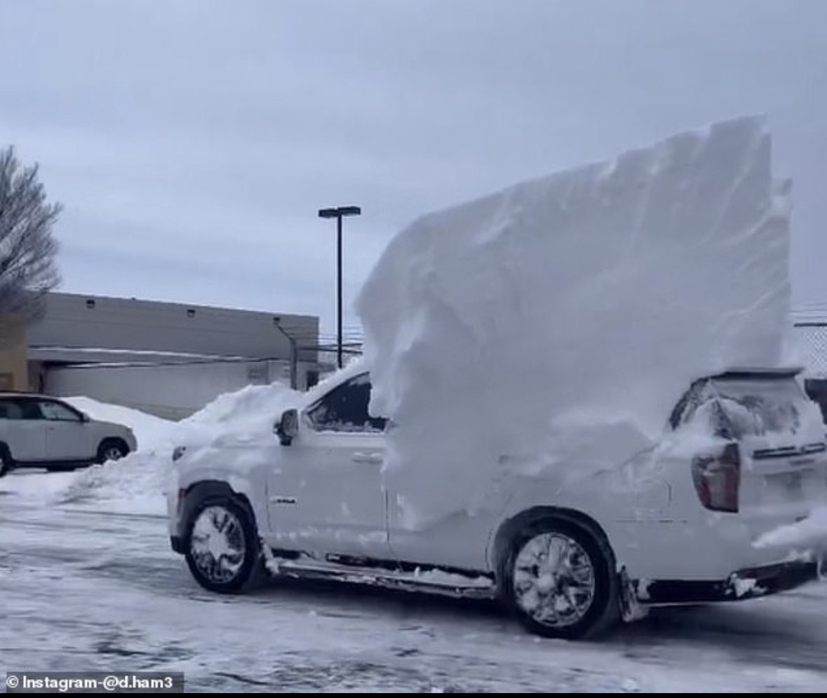 chachaspillane's tweet photo. #BuffaloProblems 😩 https://t.co/bJq9OoqByv