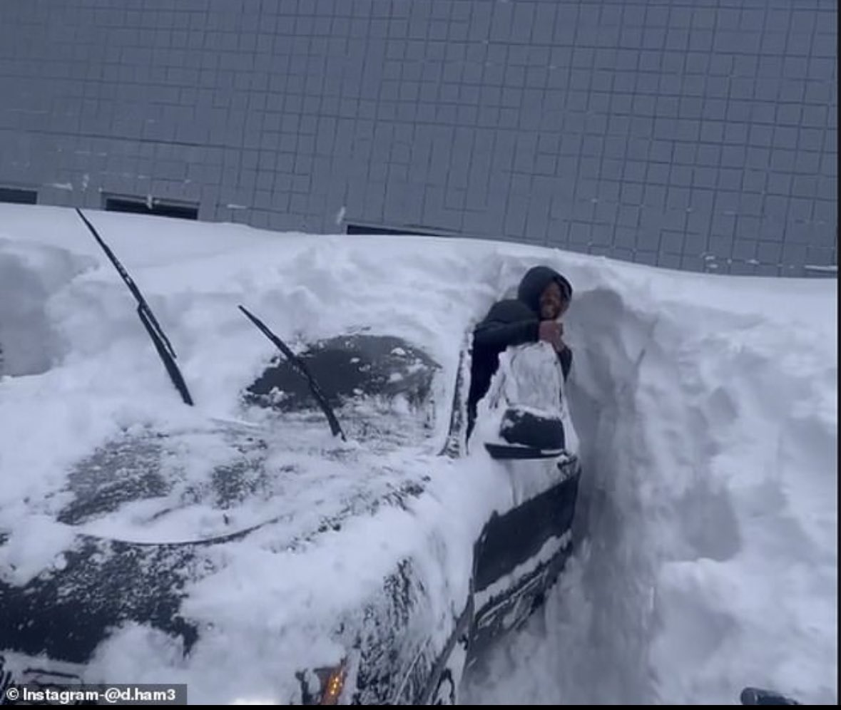 chachaspillane's tweet photo. #BuffaloProblems 😩 https://t.co/bJq9OoqByv