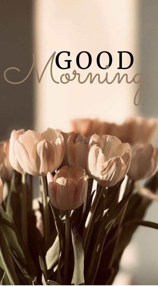 DecoFloreria's tweet photo. https://t.co/m5fuvkJKjE