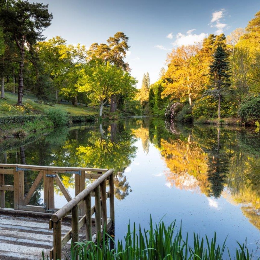 LeonardsleeG's tweet photo. #entertowin a #twonightstay within #LeonardsleeHouse through this fun #competition with @timestravel ✨ Recently named one of the Top 100 Places to stay in Britain for 2023 by @thetimes this amazing opportunity is not to be missed! Find out more 👉 https://t.co/La6x8kYmsx https://t.co/E5rFOySCON