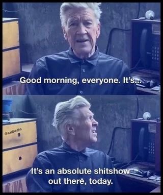 Syd Steyerhart (@sydsteyerhart) on Twitter photo 