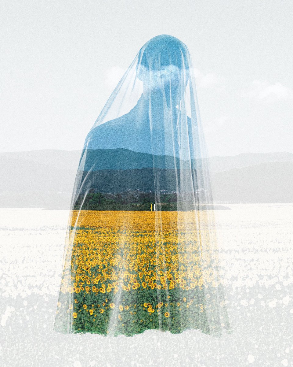 shay 𓂀 tweet media