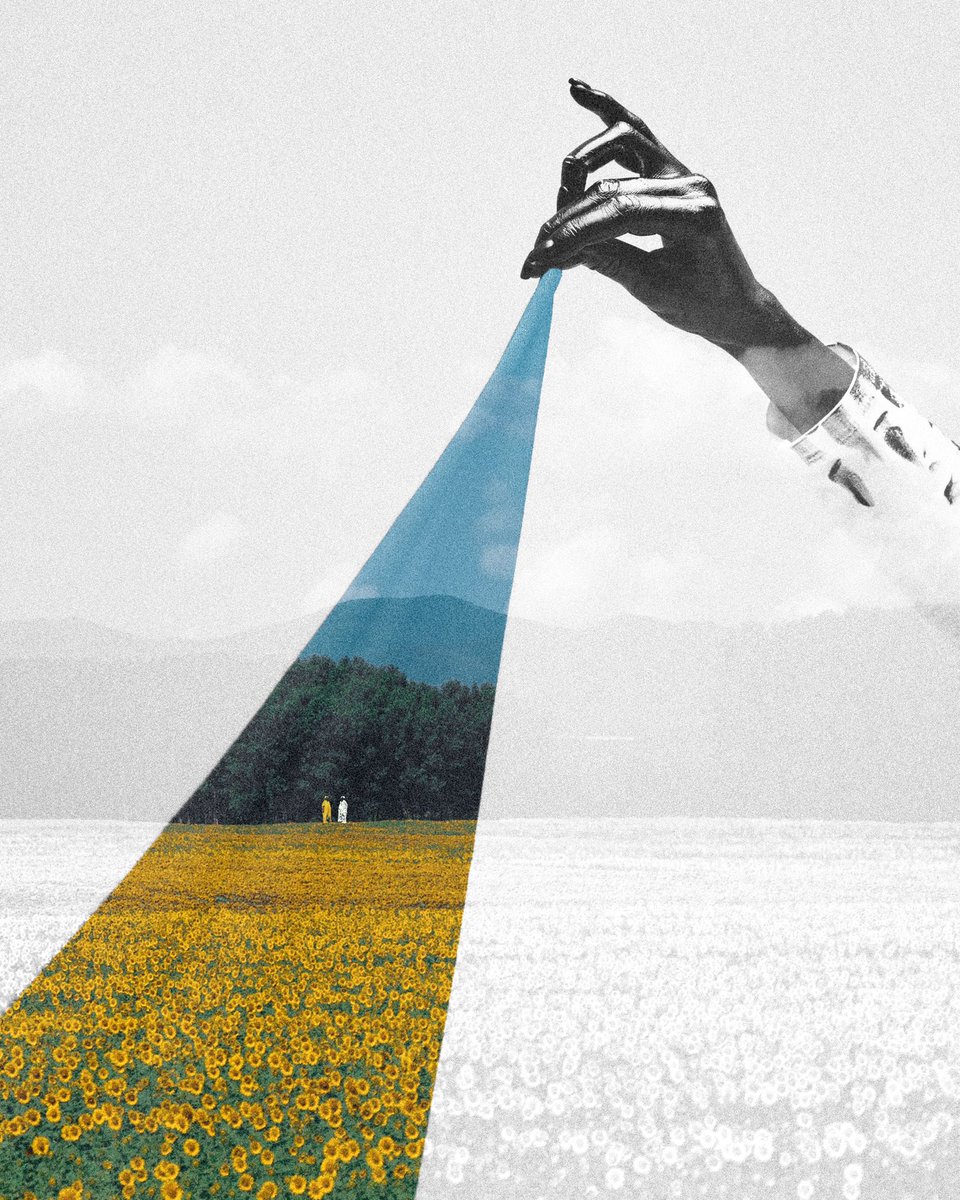 shay 𓂀 tweet media