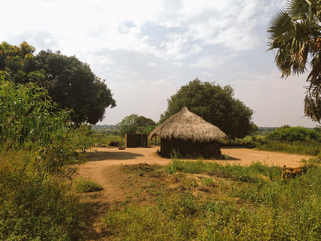 LoneWalker_256's tweet photo. "In the end, time takes you back to the roots where your past, present and future meets."
#africanhome #aringahomestead #westnile #visitwestnile #nilotics https://t.co/UmqURUtkfL