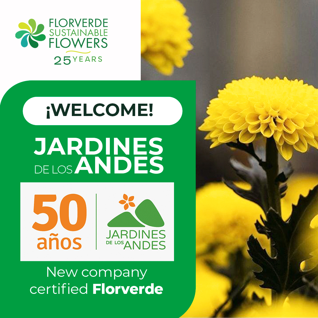 Florverde® tweet media
