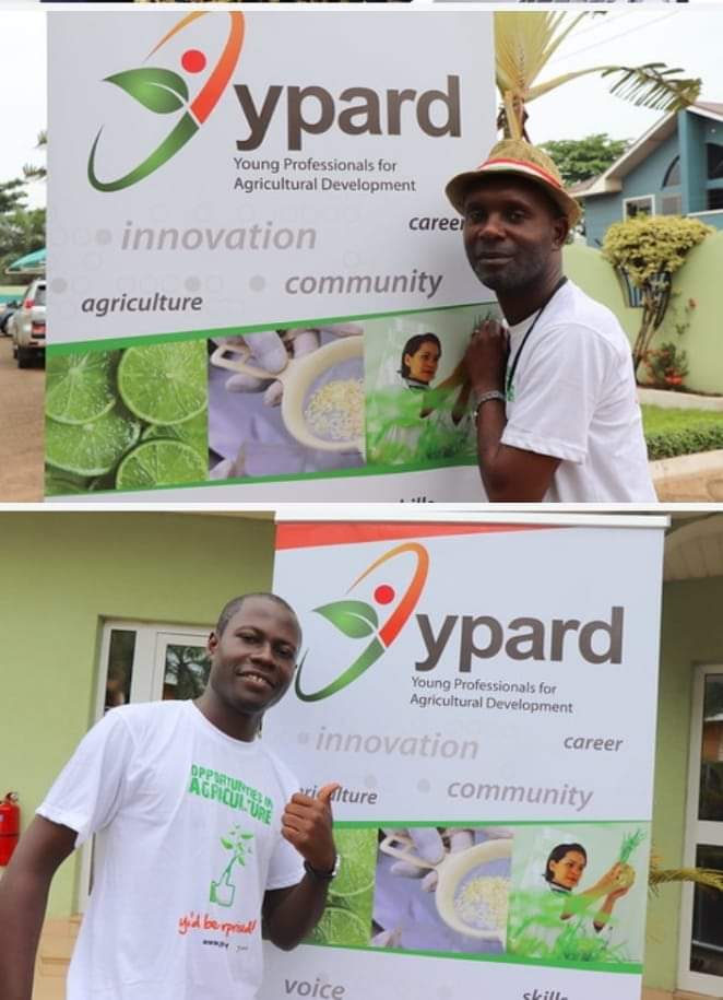ypard_rdc's tweet photo. Ainsi, la succession est assurée au sein @ypard_rdc. Désormais, @MvuengaE est le nouveau Représentant Pays de cette structure des Jeunes œuvrant dans L'entrepreneuriat agricole. Il remplace @AimKazika qui a coordonnée @ypard_rdc de 2016-2022. @YPARD @GennaTesdall @KofiKisiedu https://t.co/jDWY94XF1o