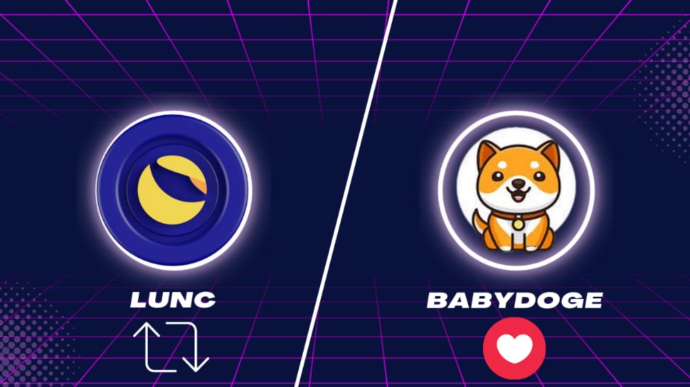 Cetoex's tweet photo. What do you prefer, #LUNC  or #BABYDOGE  ? https://t.co/OZCm1ooTWJ