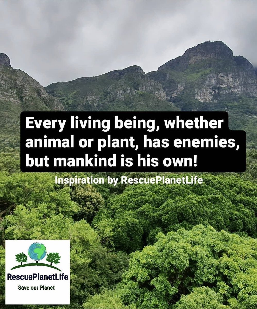 rescue_planet's tweet photo. Every living being, whether #animal or plant, has enemies, but mankind is his own!
In the end, saving our #planet means saving ourselves! 
We have several choices in our everyday life - whether we buy #organic or conventional #food and other questions... https://t.co/ICu39UEPSq