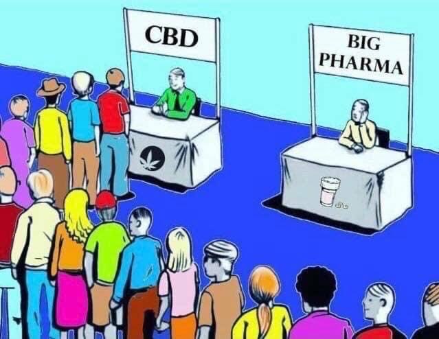 You know who doesn’t want to see #Cannabis legalization??  Big Pharma!!! They are scared shitless!! #LegalizeIt #CannabisCommunity #Mmemberville #CBD