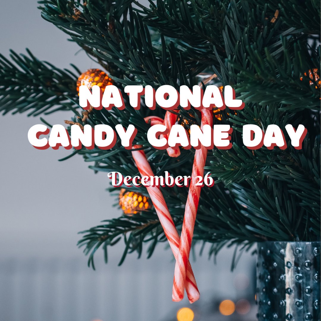 JRBrealtor's tweet photo. Grab them off the tree if you must, it's #NationalCandyCaneDay! And do you really need an excuse to snack on those delicious red and white striped treats?

#nationalcandycaneday #candycane #christmas #christmascandy #christmastradition https://t.co/77rYzCbsTe