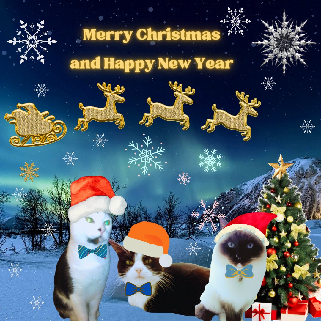 WhereDoCatsGo's tweet photo. Seasonal Greetings from 'Where Do Cats Go?' Team
#boxingday #happyholidays #seasonalgreetings #merrychristmas #cat #cats #catcatcat #catsoftwitter #catbook #wheredocatsgo #catlover #catlifestyle #author #indieauthor #selfpublishing #happynewyear #bowtiecat #catsofinstagram https://t.co/mcKtXiQ0Nl