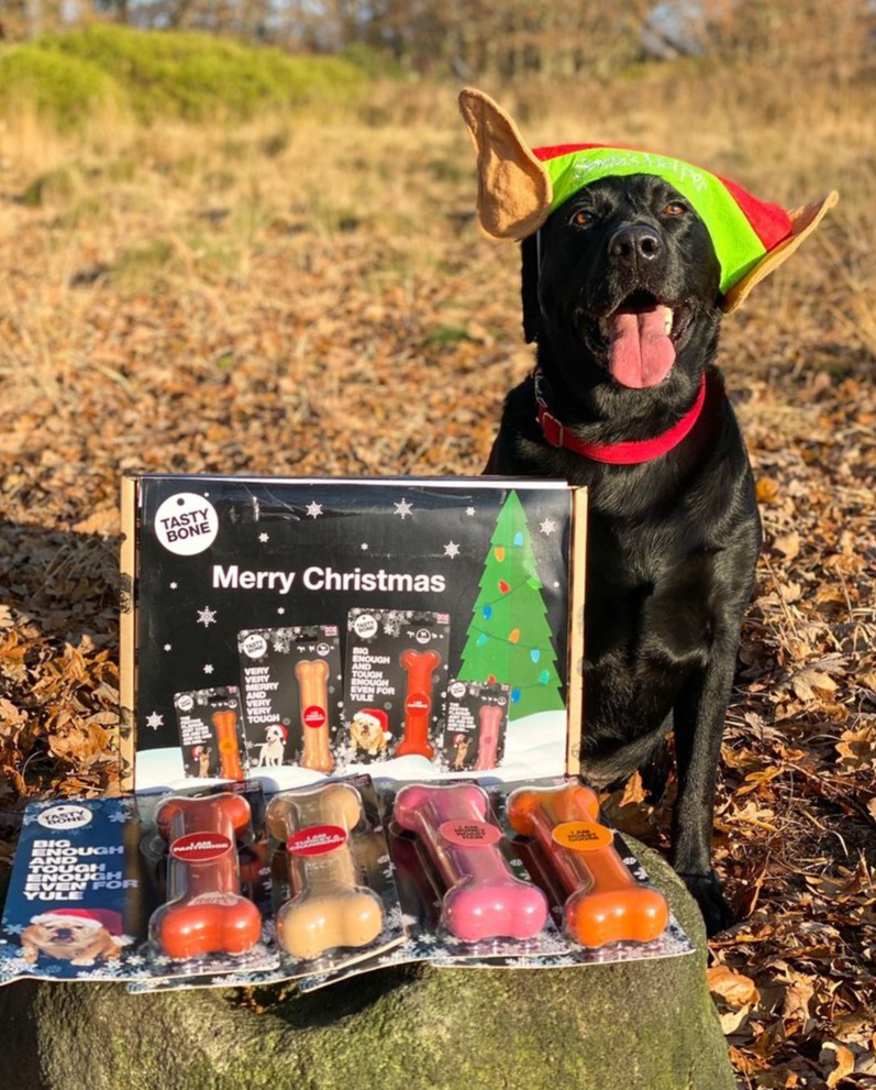 TastyBone_UK's tweet photo. We hope you all had a great Christmas! Leo is proudly showing off his favourite gift 😍 What did your dog’s get treated to?

📷 @leo_da_lab07 https://t.co/mIqfSdZHGB
