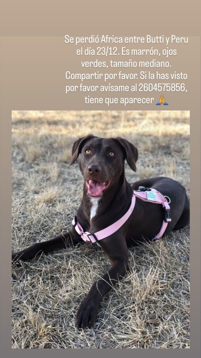 Por favor si alguien sabe de ella que se comunique con nosotros. Si pueden ayudar a difundir se los agradecería mucho.
Se ofrece recompensa.