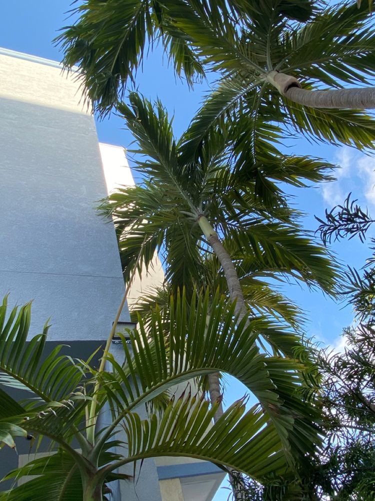 ㅤㅤㅤㅤ ㅤㅤㅤㅤㅤㅤㅤㅤ                      
        
         collin.⠀⠀⠀⠀ sns.⠀

        ▭ “touchdown, baby. ”
   ㅤㅤㅤㅤ ㅤㅤㅤㅤㅤㅤㅤㅤ
ㅤㅤㅤㅤ ㅤㅤㅤㅤㅤㅤㅤ