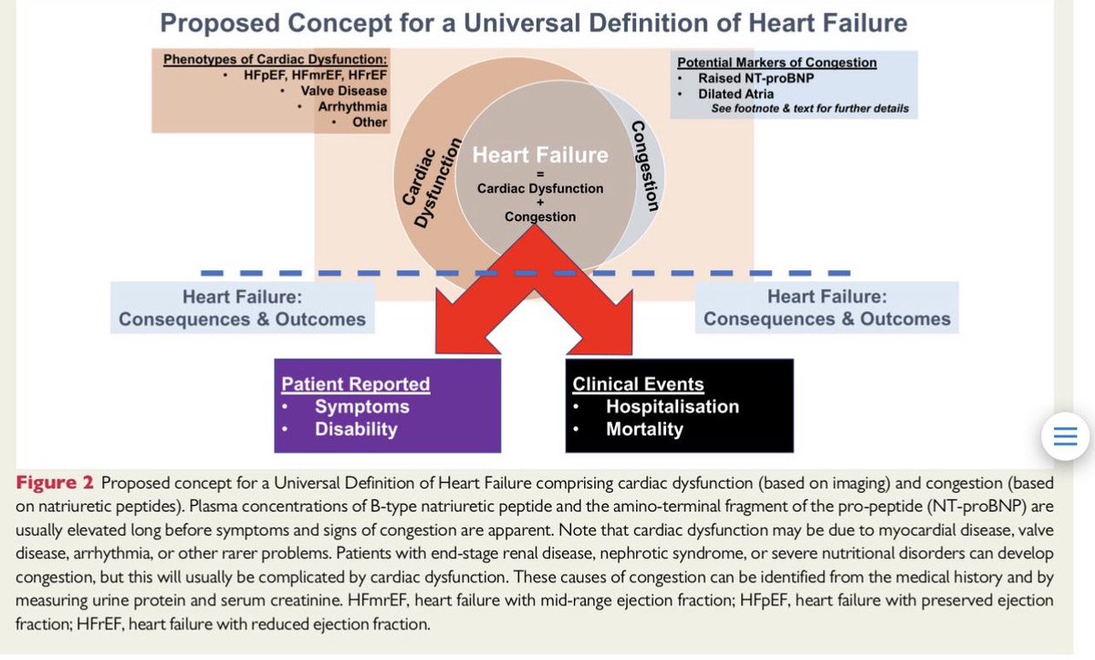 GiuseppeGalati_'s tweet photo. @AndreasGevaert @hvanspall @FZores @MKIttlesonMD @JJheart_doc @BirkhoelzerS Look for congestion despite symptoms.
Accordingly to the #UniversalDefinition of #HF (signs & / or symptoms).
Personally I look also for subclinical congestion (by using Bioelectrical impedance vector analysis : BIVA) & if the answer is yes go for quadruple therapy @gcfmd https://t.co/Q1gYBJNGGe