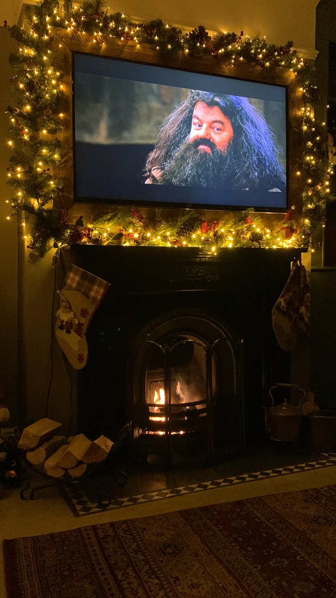 Chilled out Boxing Day - Fire on and Harry Potter on the TV