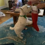 Photo by Partha Howell / Major Mckenzie / Capt.Norman #ZSHQ (@ParthaHowell)
