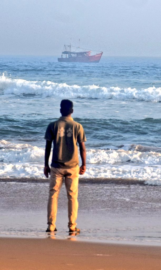 SoumyaMarineWL's tweet image. Humble request to all my @Twitter friends to join me to #SaveOliveRidley.

The #Devi, one of the Arribada grounds in the world, is being neglected. Rampant Fishing everyday in prohibited area but no one caring about their congregation, mating and breeding rituals in our #Odisha.