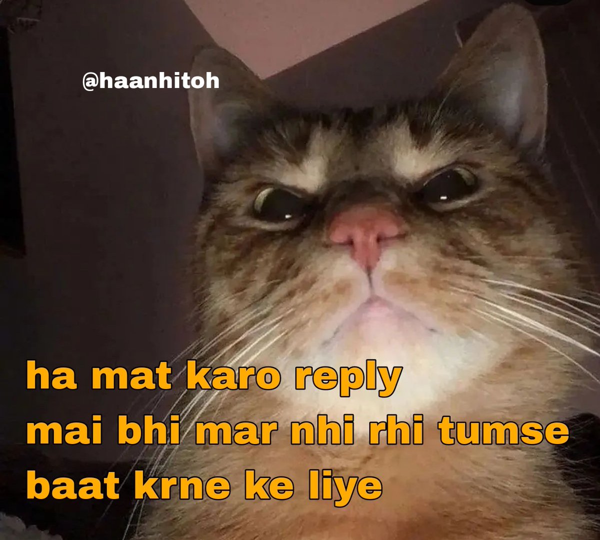 haanhitoh's tweet photo. Nahi krni baat ab 😤 https://t.co/s5FPMoP7zL