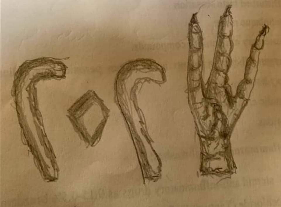 كل عام وحضراتكم بخير