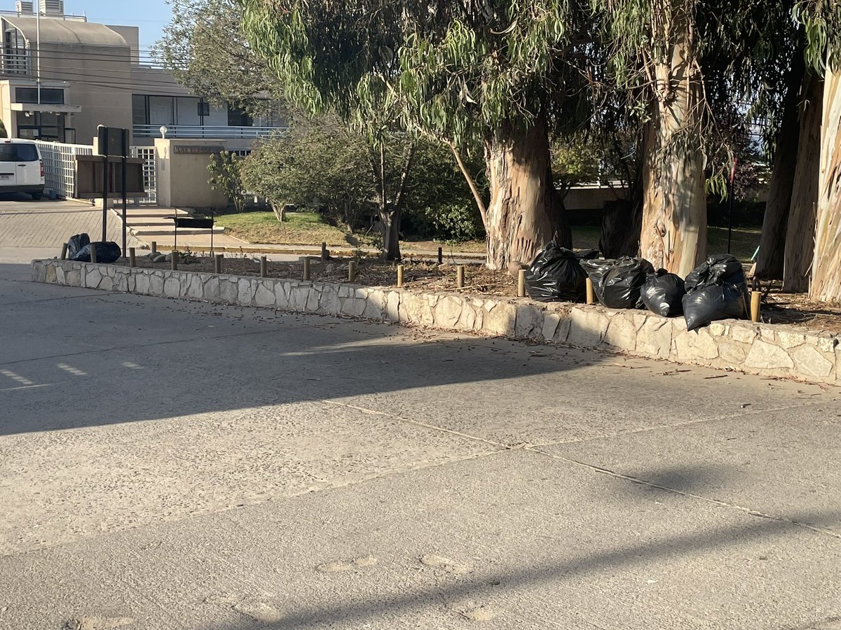 Maite Orozco tweet media