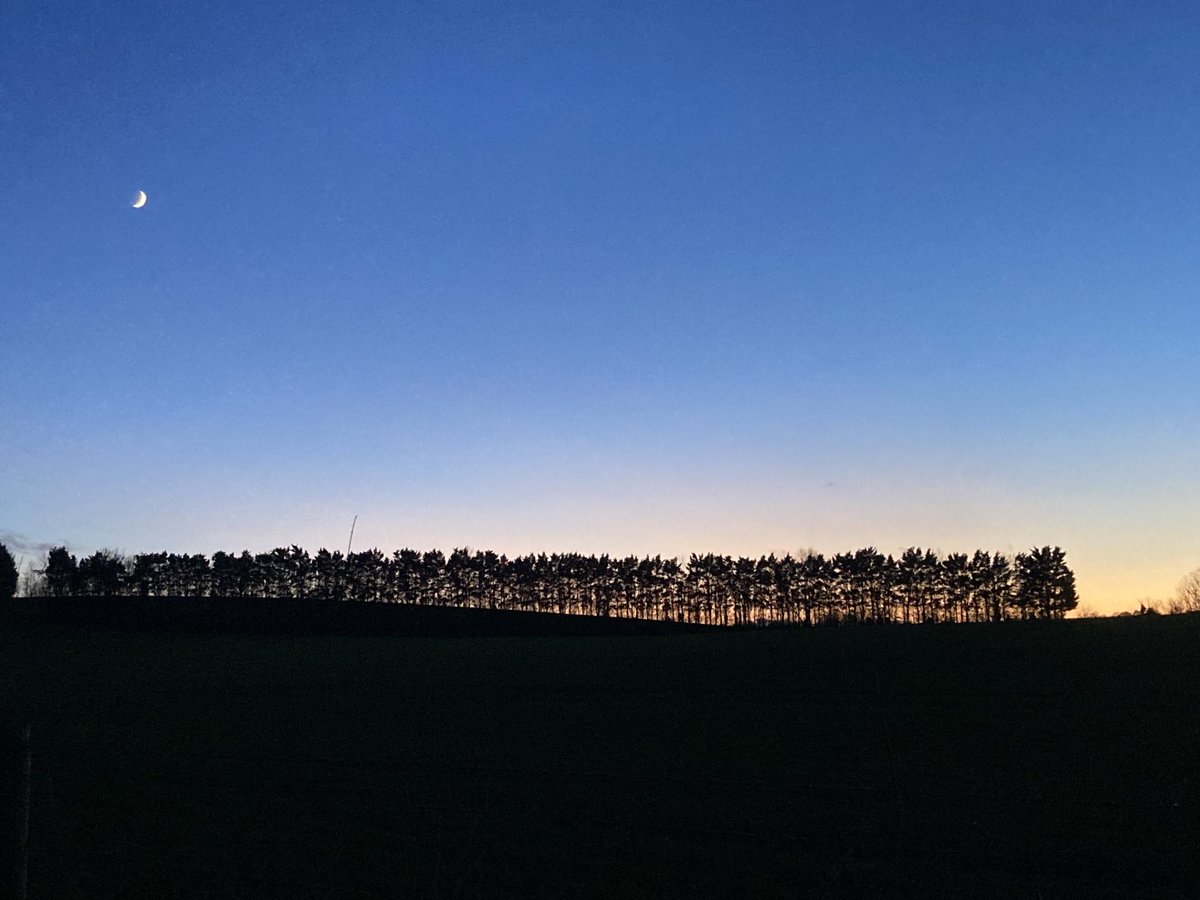 DPLewin's tweet photo. View from our Boxing Day walk. https://t.co/r9CbL6sGL1