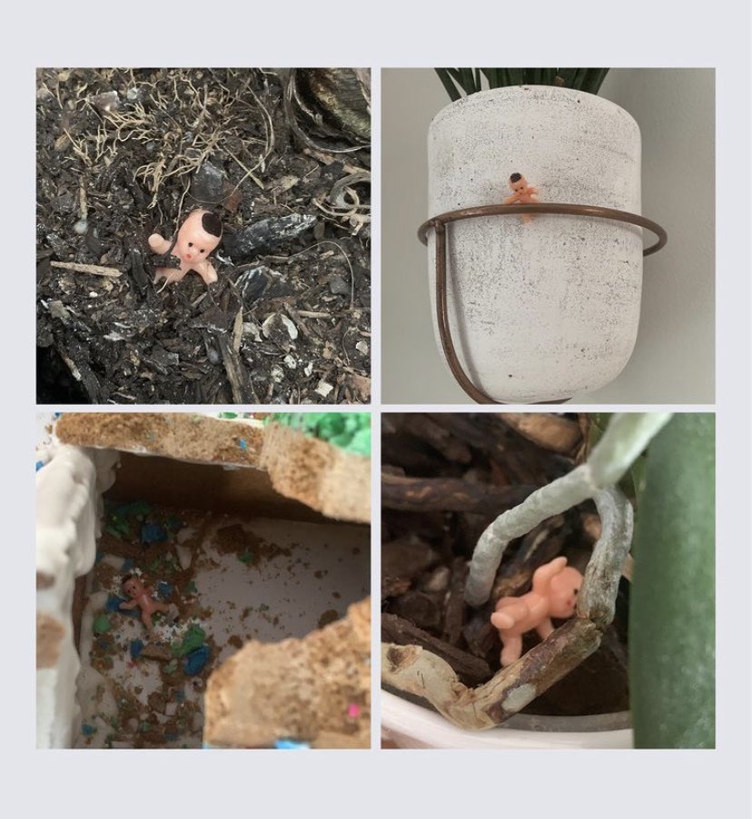 Steph_DDesigns's tweet photo. @ArielTroster We hid these creepy little babies all over my sister-in-law’s house. At least ours don’t make noise 😂 https://t.co/pByHc5sX7x