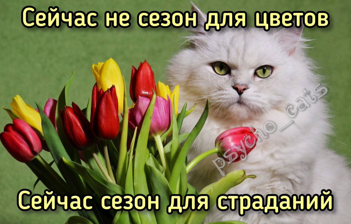 973Files's tweet photo. @twidade_Iucks Мммм https://t.co/a75tvnhbgi