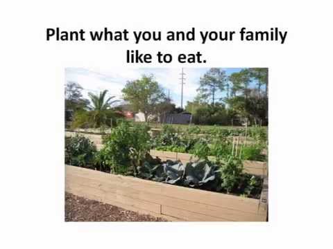 DiningCooking's tweet photo. Plant Selection &amp; Layout / Your Florida Vegetable Garden 
 
#CropRotation #FloridaGardening #GardenLayout #Gardeninginterest #VegetableFood #VegetableGarden #VegetableGardenVideos #VegetableGardening #VegetableGardeningVideos
 
https://t.co/8DeLkSoMGx https://t.co/0mXsiwoEvD