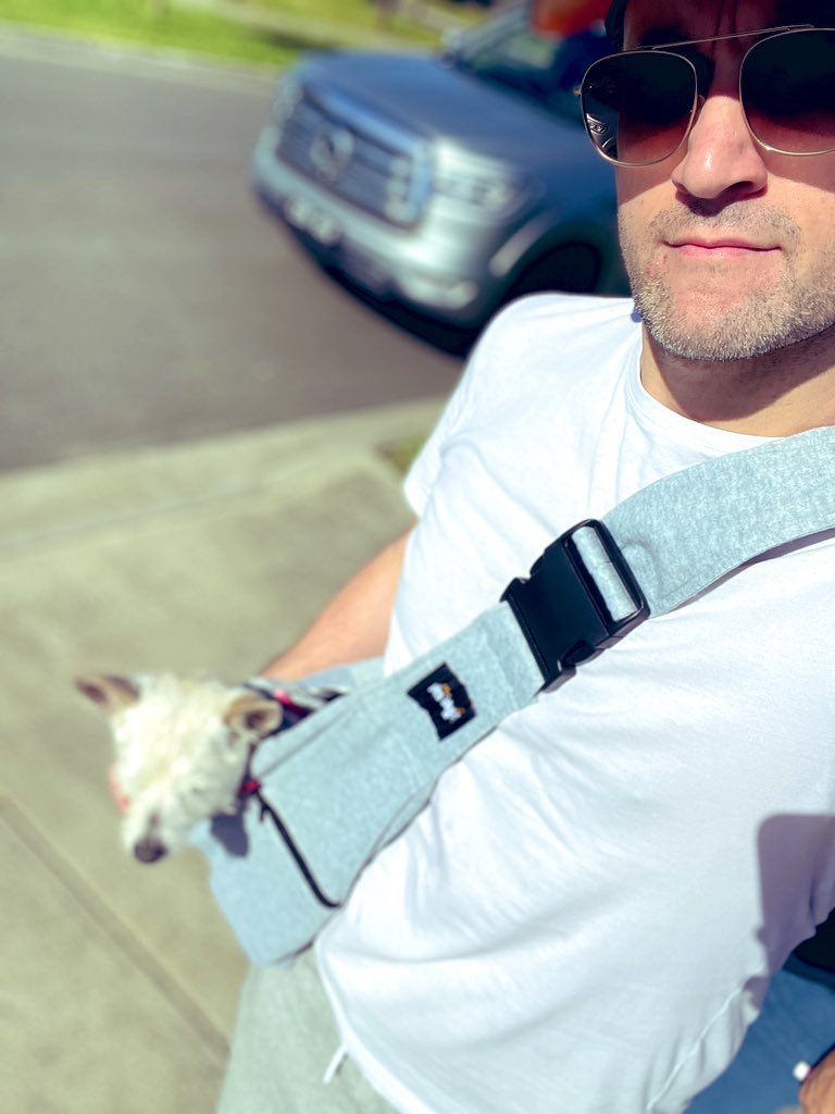 djmelbau's tweet photo. Out getting some exercise before the heat wave hits; someone has decided to hitch a ride as too hot for her little paws #morningexercise #dogsoftwitter #doguncle #jackrussellterrier #seniordogs #gaymelbourne #aussiegay #gayaustralia https://t.co/2jDko7yzxg
