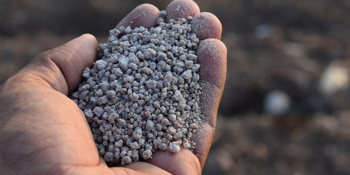 lahoradelmate's tweet image. #NUTRIR #FOSFORO #NITROGENO #AZUFRE

Nutrir la gruesa tras perder la fina.

↪️ bit.ly/3jrwndo