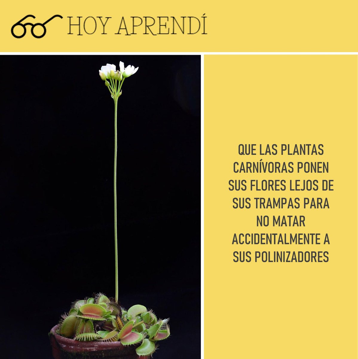 Informa Cosmos tweet media