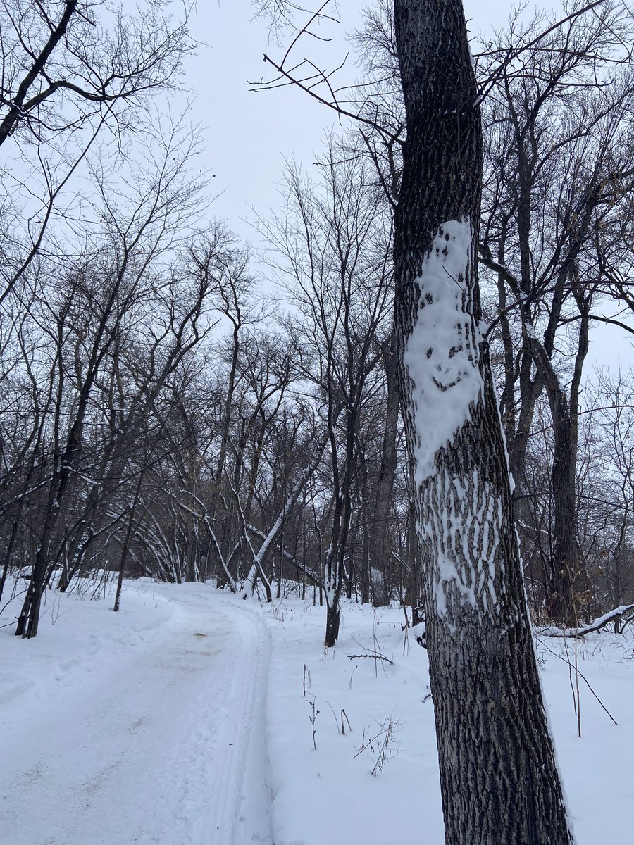 Spent a peaceful Christmas afternoon @ King’s Park! May we find some time to reflect &amp; enjoy the beauty of winter! I used to marvel at these scenes found on Christmas cards… to actually live in it, makes me truly grateful. Hope you and yours find comfort &amp; joy this season!  💙🎄