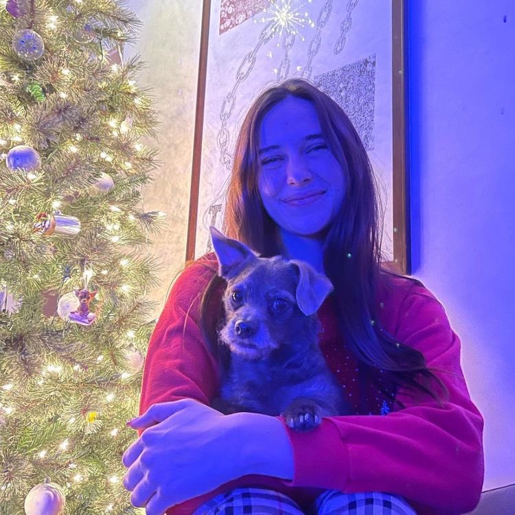 safehevon's tweet photo. merry christmas 🎄🎅🏼 https://t.co/LhOWkU0tR8