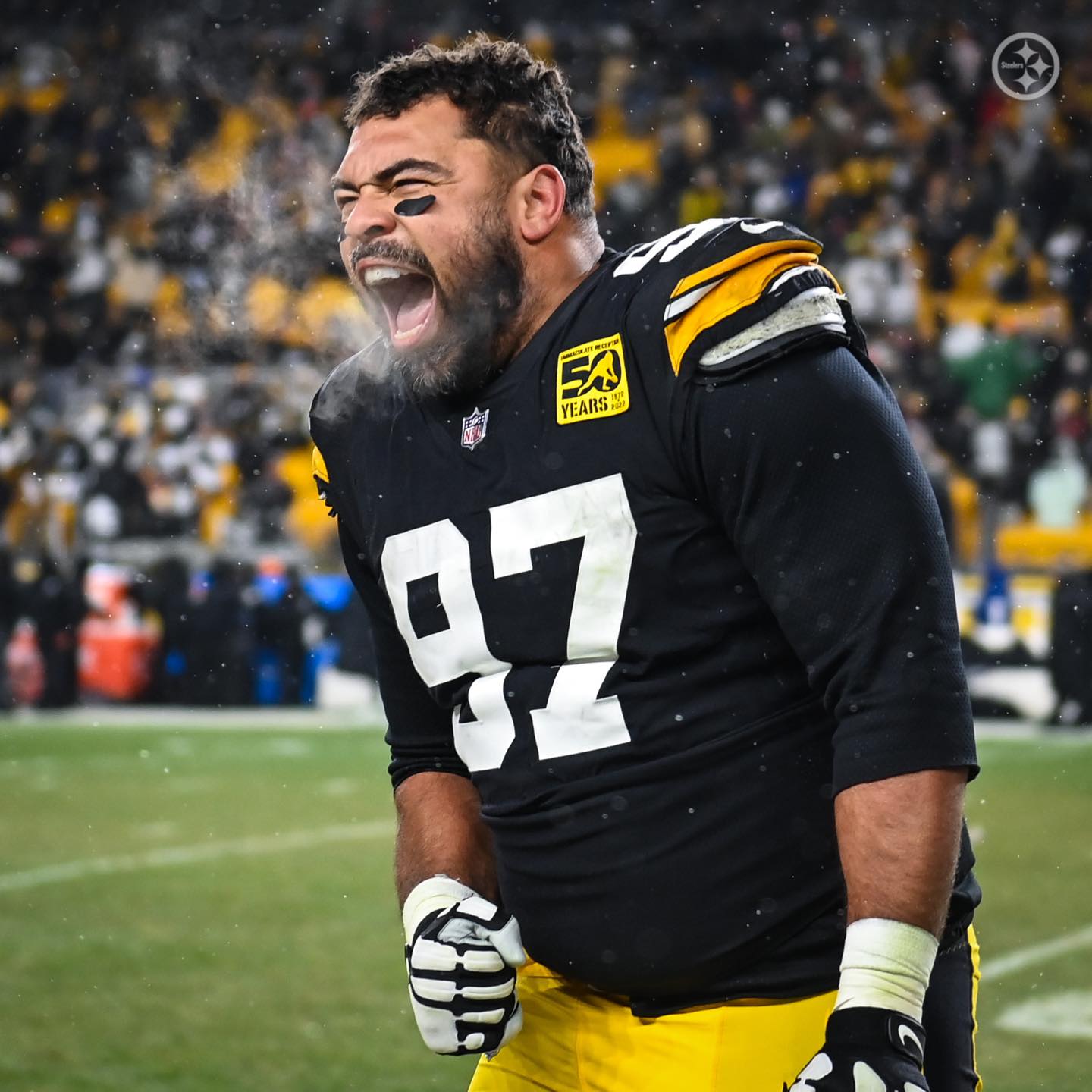 Pittsburgh Steelers on X: '.@CamHeyward vs. the Raiders 