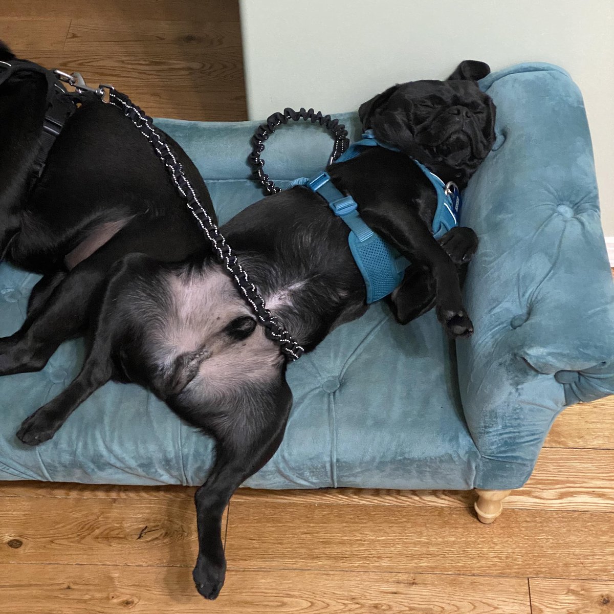 Now in Recovery mode!