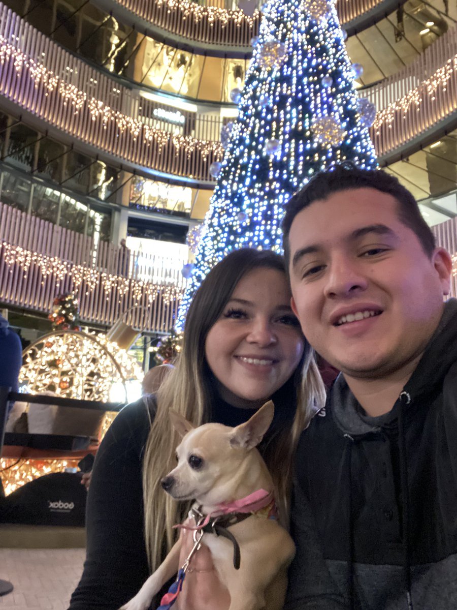 stephii_am's tweet photo. Que bonita navidad con estas dos criaturas 🎄❤️ https://t.co/Xlid0CF3GG