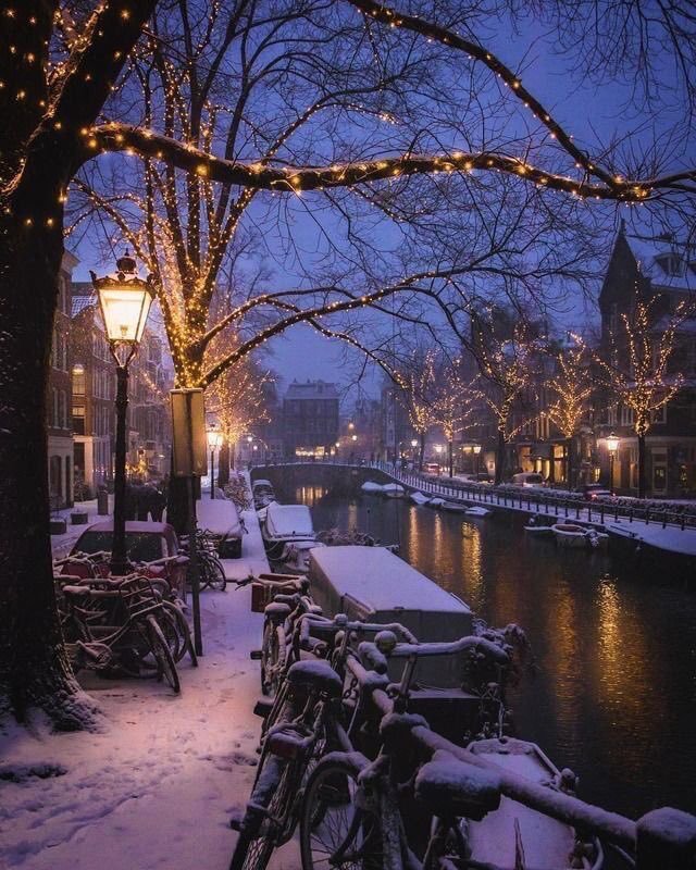 Winter in Amsterdam, Netherlands 🇳🇱