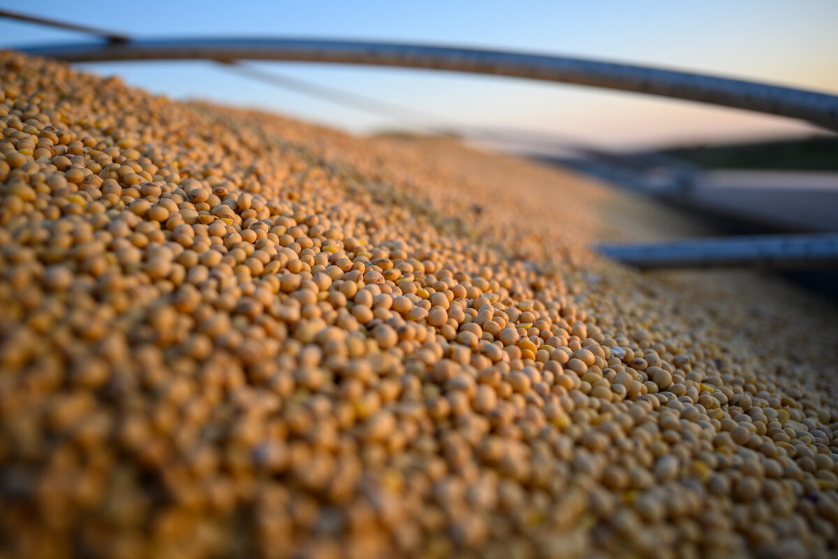 Study: Soybean oil for #biofuels has little impact on food prices buff.ly/3BRjRdB