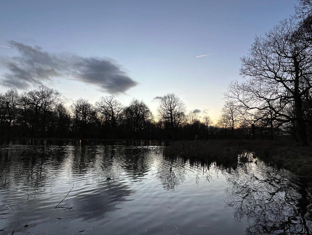 Love catching sunrise & #sunset on the same day. Sunset @DunhamMasseyNT #ntchallenge - wintery walks. #dailydoseofnature #365dayswild #wellbeing #nature #therapy #outdoors #mindfulness #naturephotography #therapistsconnect #selfcare #mentalhealth #health #TwitterNatureCommunity