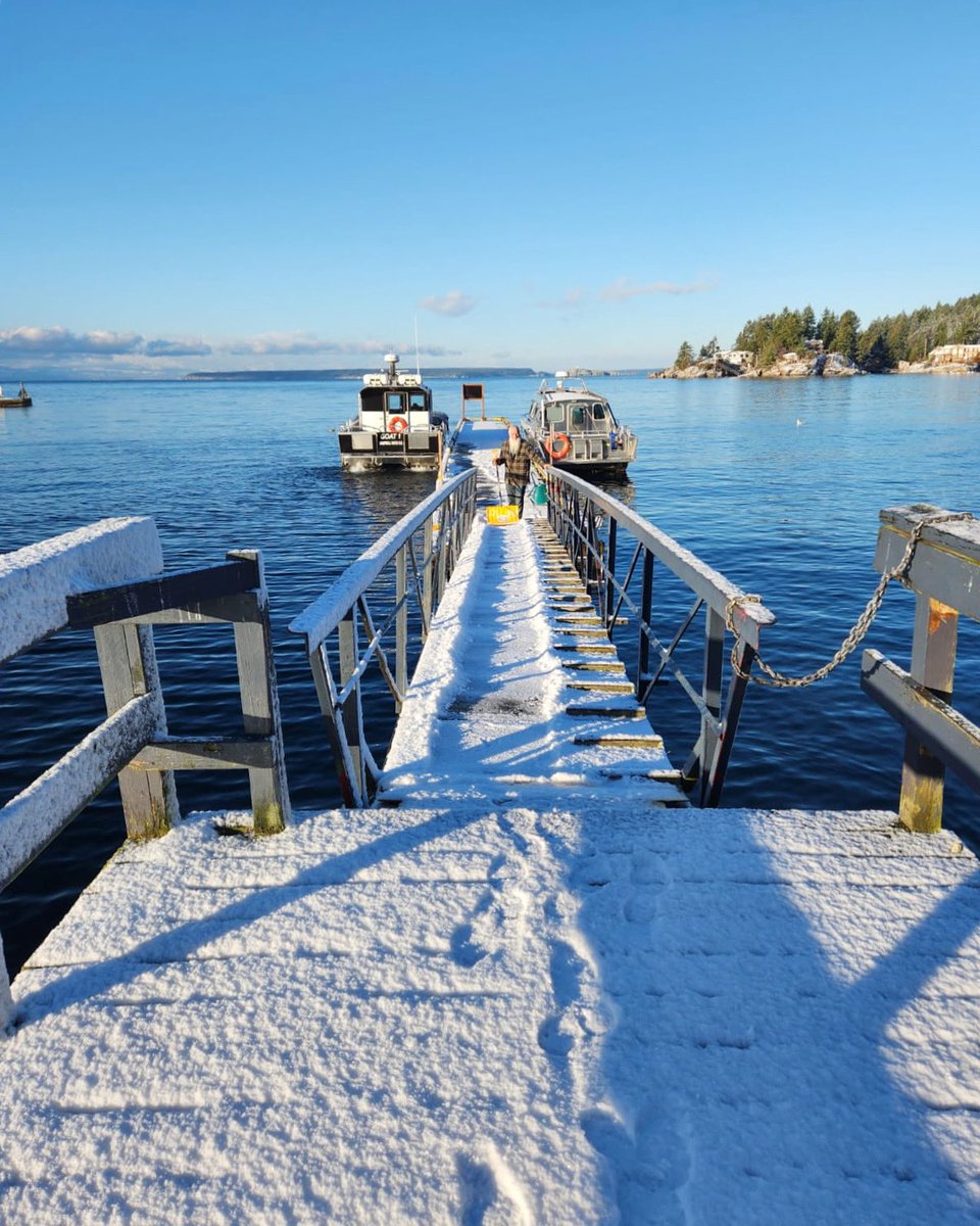 Best job ever ? Shovelling snow at Klah ah men.

#lundbc #sunshinecoastbc #tlaamin