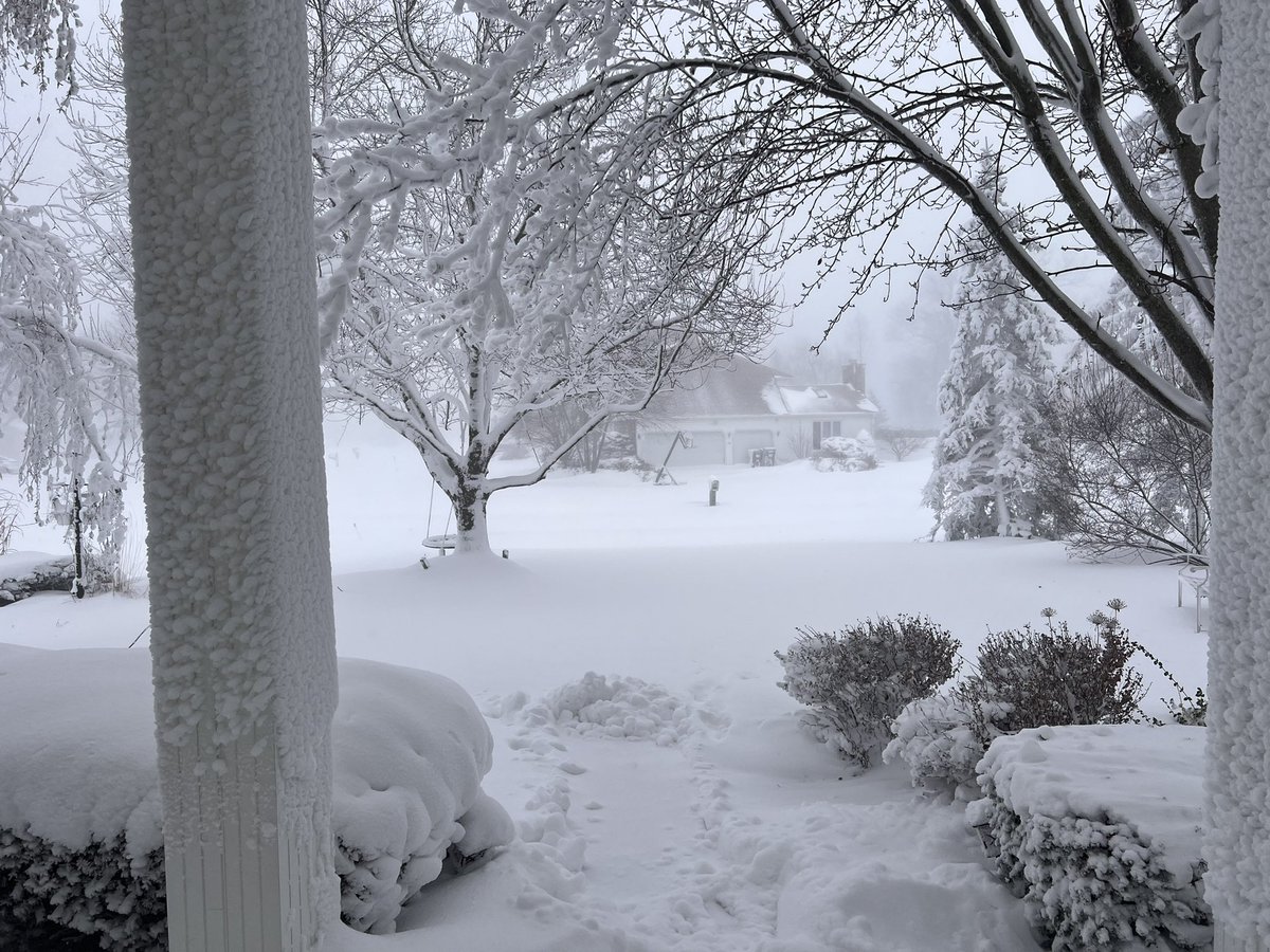 Devmanmp's tweet image. #buffaloblizzard