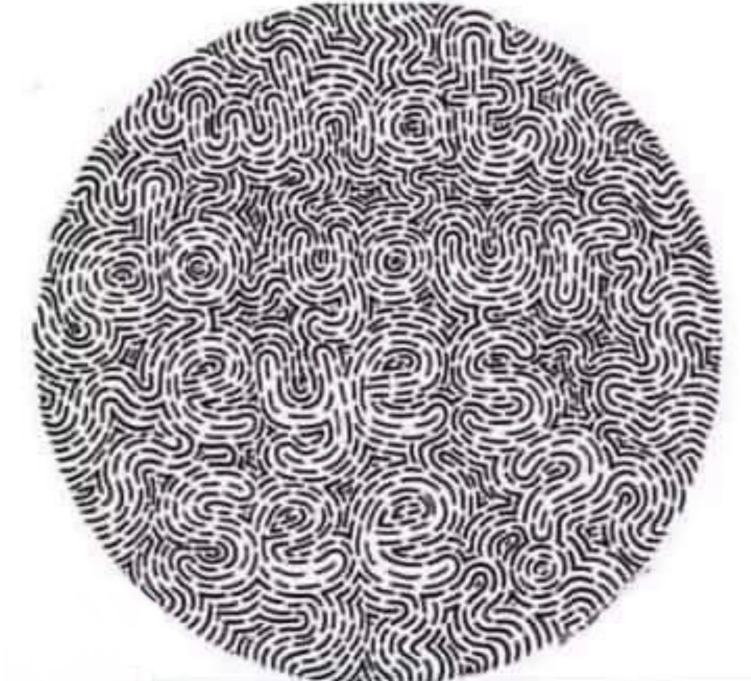 HOLIDAY SPECIAL EYE TEST!!🔎👁️🔍🎄
Find the sentence in this picture?🤔
FYI- 93.3% of people Fail this eye test!📈