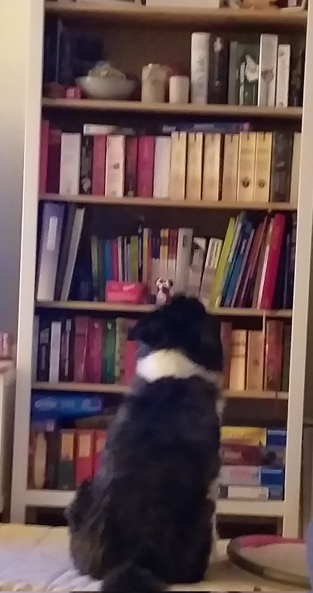 Welches wird sein nächstes Buch?