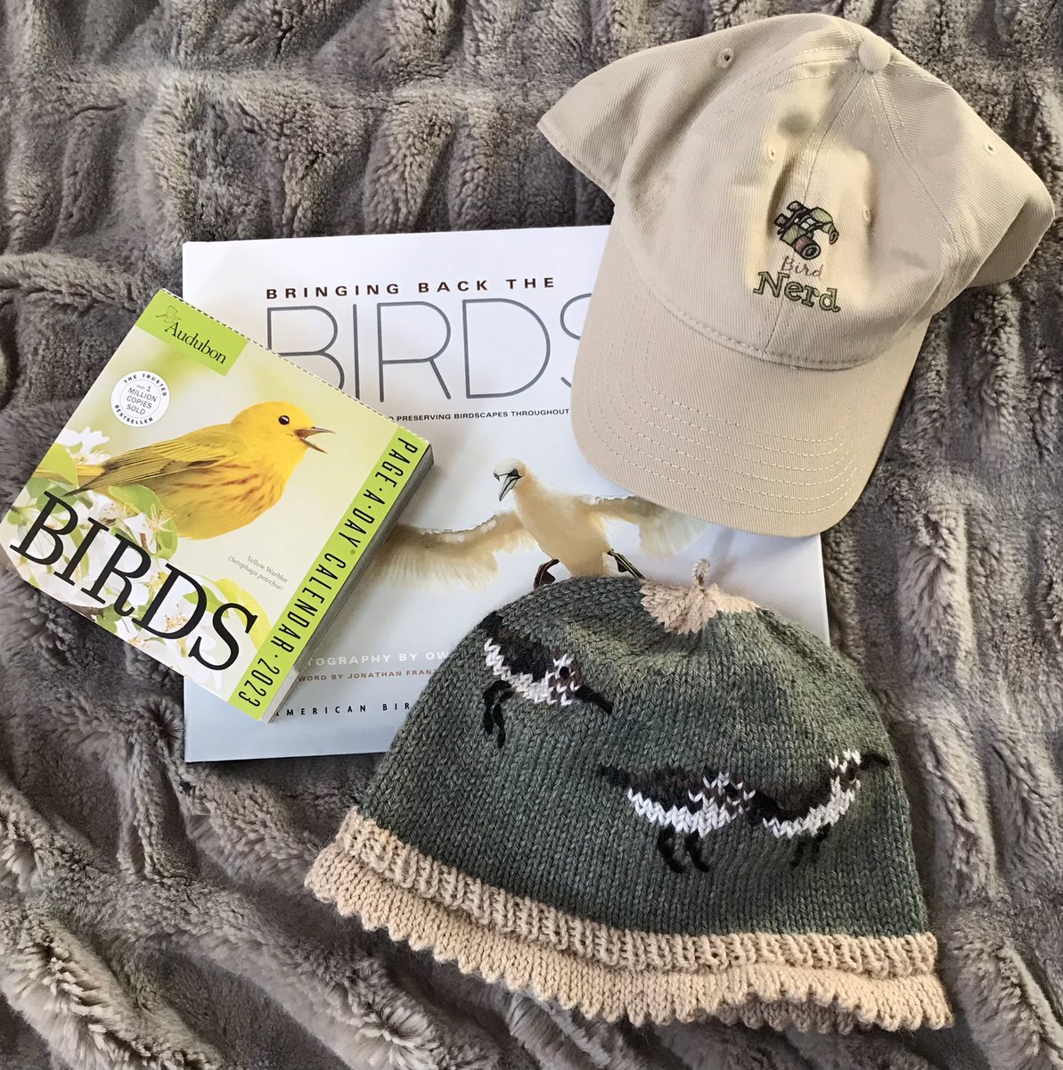 bobbiecollins_'s tweet photo. @BirdIzLife Top picks, there’s actually more! https://t.co/k6CJ5Ff7bb